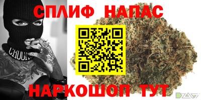 a pvp Кохма