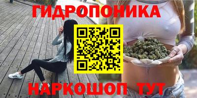 мдпв Котовск