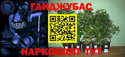 a pvp Кохма