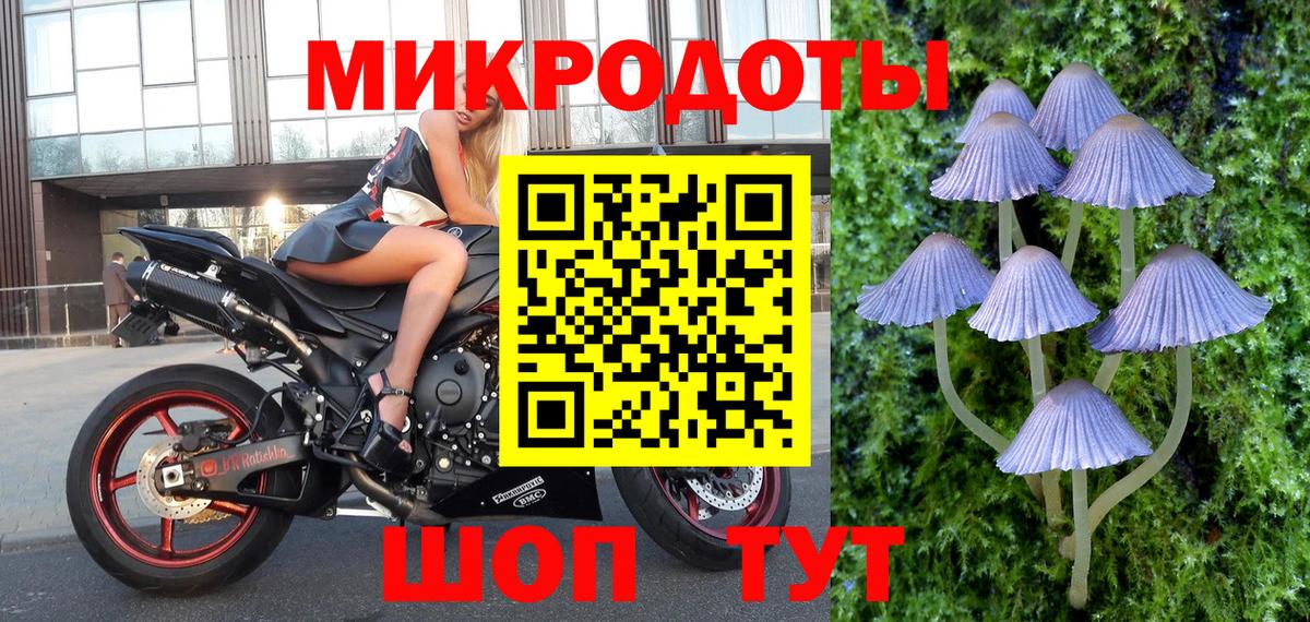 Десногорск  Псилоцибиновые грибы ЛСД  Псилоцибиновые грибы Psilocybine cubensis  Вход с VPN 